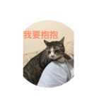 Cat For Ba（個別スタンプ：2）