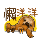 happy cute sloth 1（個別スタンプ：13）