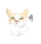 FlowerCat says（個別スタンプ：9）