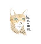 FlowerCat says（個別スタンプ：11）