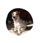 JRT ラン（個別スタンプ：4）