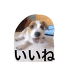 JRT ラン（個別スタンプ：7）