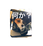 JRT ラン（個別スタンプ：8）