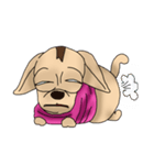 Doggy MoMo（個別スタンプ：12）