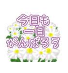 毎日使える、気軽な挨拶 デカ文字（個別スタンプ：8）