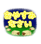 毎日使える、気軽な挨拶 デカ文字（個別スタンプ：36）