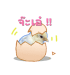 Little Chick Sticker（個別スタンプ：9）