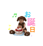 K.かんちゃん©スタンプ4（個別スタンプ：6）