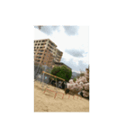 筒井公園の桜（個別スタンプ：6）