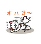 ちゃしろぶさへたねこ茶輔(さすけ)（個別スタンプ：2）