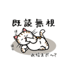 ちゃしろぶさへたねこ茶輔(さすけ)（個別スタンプ：17）