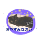 黒猫ちゃこ（個別スタンプ：9）