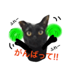 黒猫ちゃこ（個別スタンプ：14）