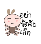 Brown tokki name Lek（個別スタンプ：11）