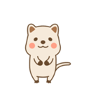 The happiest animal in the world Quokka（個別スタンプ：12）