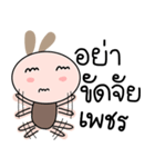 Brown tokki name Petch（個別スタンプ：8）