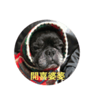 French Bulldog vai 2（個別スタンプ：11）