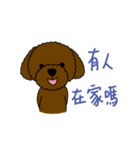 Dog wants to say（個別スタンプ：19）