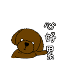 Dog wants to say（個別スタンプ：36）