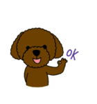 Dog wants to say（個別スタンプ：39）