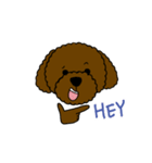 Dog wants to say（個別スタンプ：40）