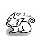Kai Jieow, Indy cat（個別スタンプ：22）