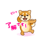 花よりわんこ（敬語、柴犬、桜、春）（個別スタンプ：17）