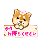 花よりわんこ（敬語、柴犬、桜、春）（個別スタンプ：33）