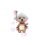 cookiextong（個別スタンプ：10）