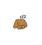 Lovely toypoodle dog face sticker.（個別スタンプ：2）