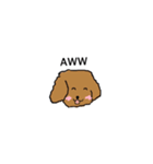 Lovely toypoodle dog face sticker.（個別スタンプ：3）