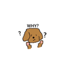 Lovely toypoodle dog face sticker.（個別スタンプ：6）