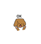 Lovely toypoodle dog face sticker.（個別スタンプ：8）