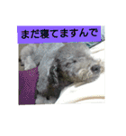 okada's dog1（個別スタンプ：4）