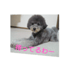 okada's dog1（個別スタンプ：5）