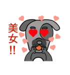 Black mouth dog（個別スタンプ：16）