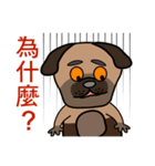 Black mouth dog（個別スタンプ：30）