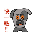 Black mouth dog（個別スタンプ：31）