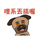 Black mouth dog（個別スタンプ：37）