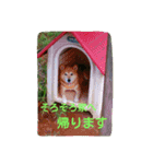 message16（個別スタンプ：13）