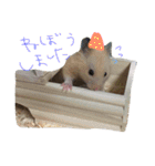 Hamster Work（個別スタンプ：7）