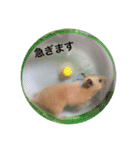 Hamster Work（個別スタンプ：8）