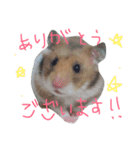 Hamster Work（個別スタンプ：14）