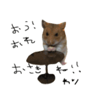 Hamster Work（個別スタンプ：22）