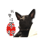 Black Dog Legion-3（個別スタンプ：3）