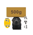 Black Dog Legion-3（個別スタンプ：4）