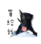 Black Dog Legion-3（個別スタンプ：6）