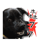 Black Dog Legion-3（個別スタンプ：14）