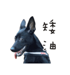 Black Dog Legion-3（個別スタンプ：16）