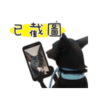 Black Dog Legion-3（個別スタンプ：40）